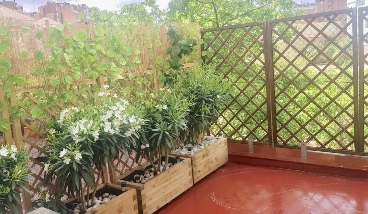 Apartamento San Quirce - Centrico Y Reformado- Wifi Y Netflix Valladolid Buitenkant foto
